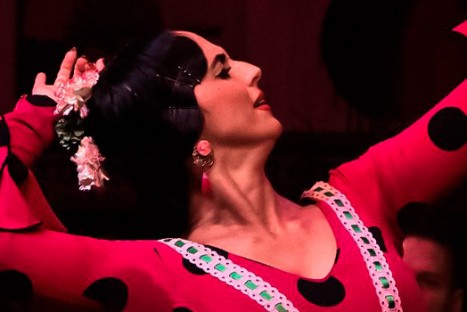 Patricia Ibáñez – Tangos